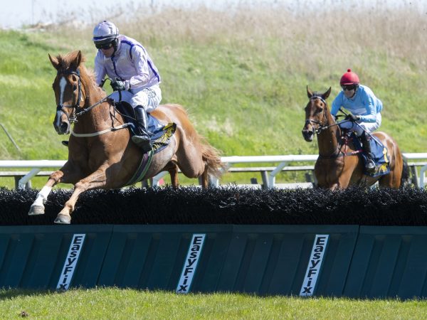 Liars Corner och Henrik Engblom hoppar sista häcken Göteborg 210530 Foto: Stefan Olsson / Svensk Galopp